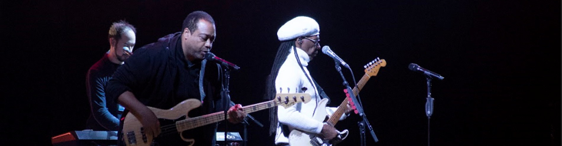 Nile Rodgers.jpg